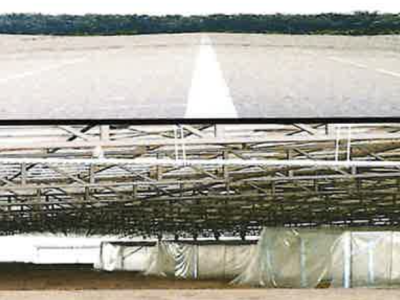 Biosun Energy