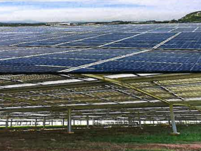Genetic Solar